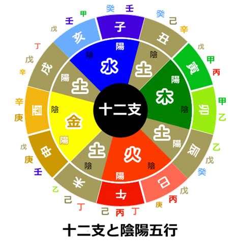 五行風水生年月日|陰陽五行占い【自動計算チェックツール】